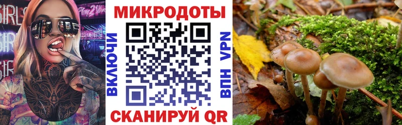 где найти   Горбатов  Галлюциногенные грибы GOLDEN TEACHER 